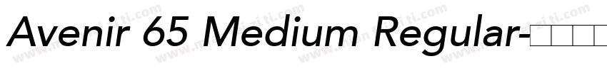 Avenir 65 Medium Regular字体转换